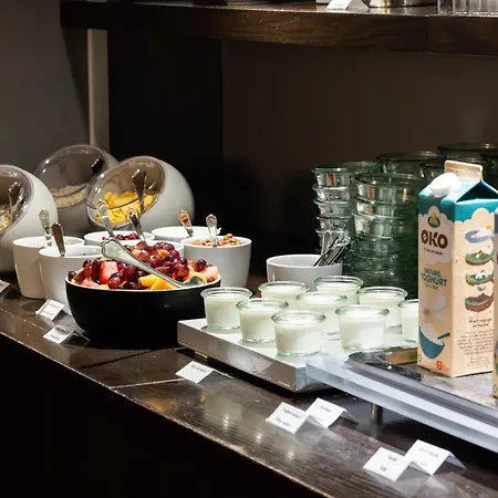奥尔胡斯市利兹米林酒店 3*